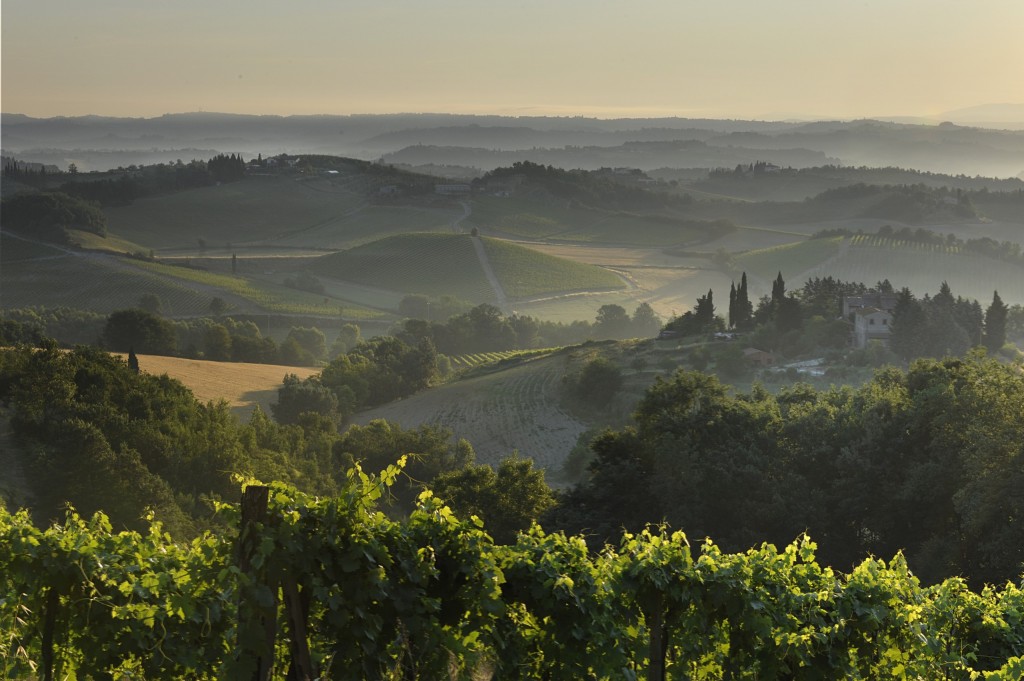 Fattoria Poggio Alloro